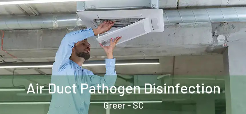 Air Duct Pathogen Disinfection Greer - SC