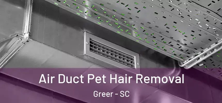 Air Duct Pet Hair Removal Greer - SC