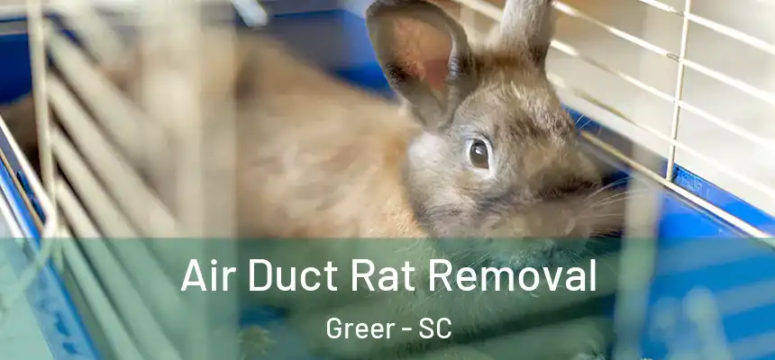 Air Duct Rat Removal Greer - SC