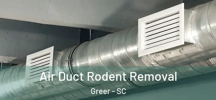 Air Duct Rodent Removal Greer - SC