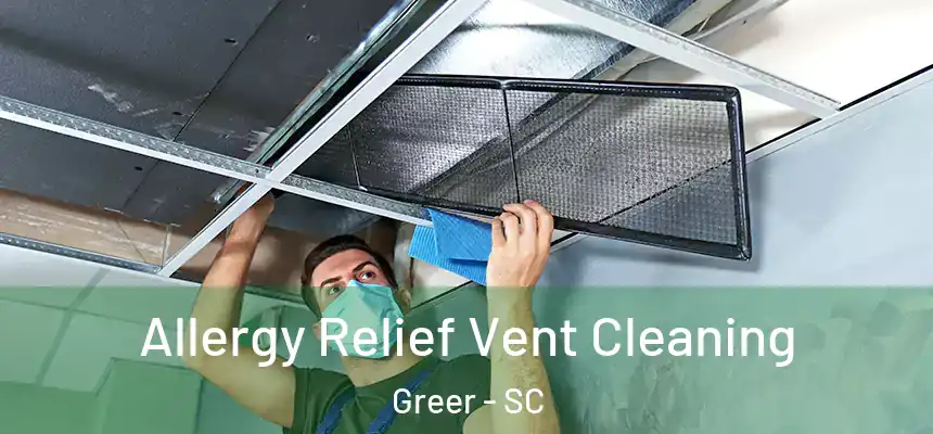 Allergy Relief Vent Cleaning Greer - SC