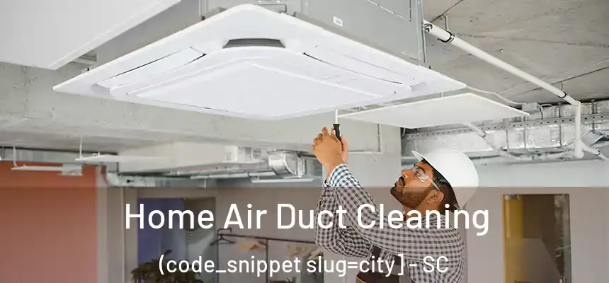  Home Air Duct Cleaning (code_snippet slug=city] - SC