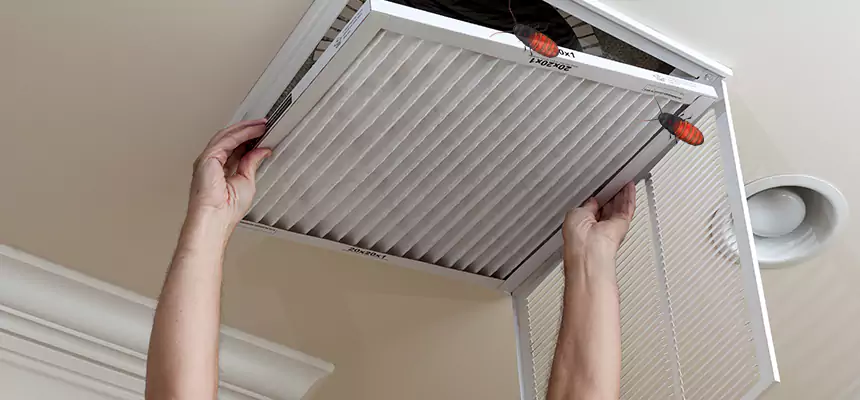 Preventive Cockroach-Proofing for Ducts in Greer
