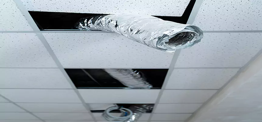 Our Air Duct Pet Hair Removal Services in Greer, SC