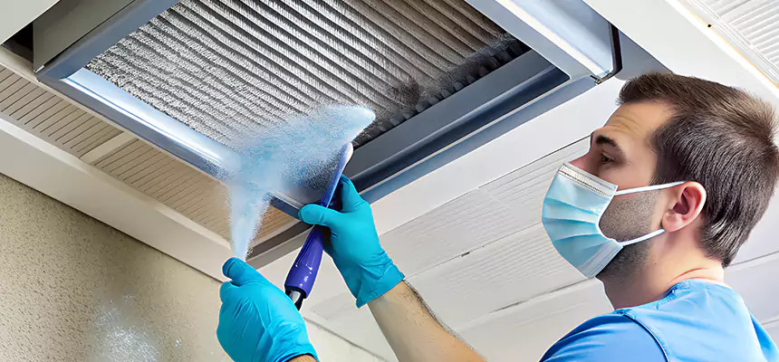 Proactive Dryer Vent & Auxiliary Duct Pollen Cleanup in Greer, SC