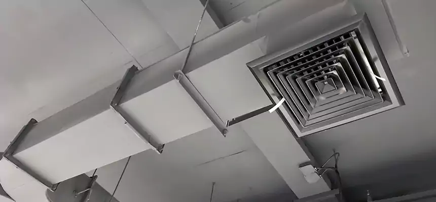 Restorative Allergy Relief Vent Cleaning – Coil, Blower & Housing Detail in Greer