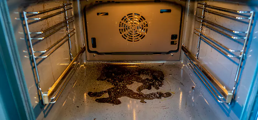 Our Dryer Vent Mold Cleaning Services in Greer, SC