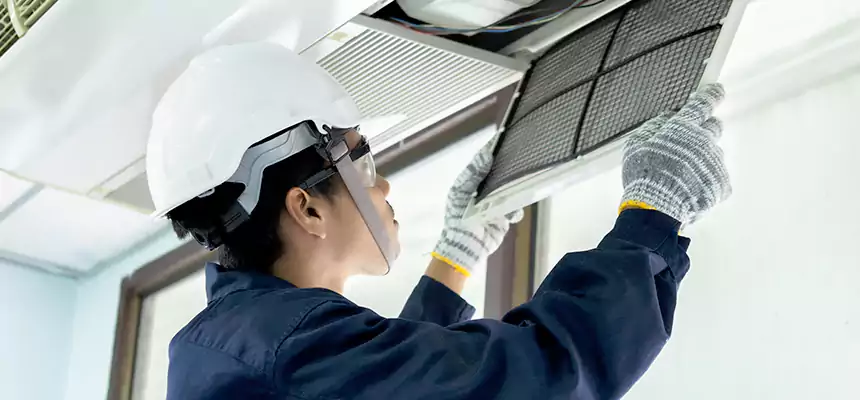 Our Mold & Mildew Removal from Air Ducts Services in Greer, SC