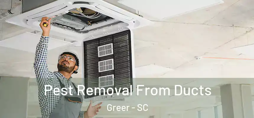 Pest Removal From Ducts Greer - SC