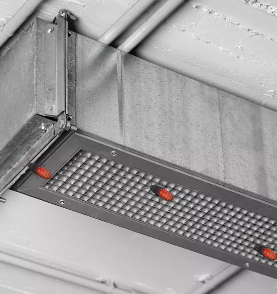 About Air Duct Cockroach Removal in Greer, SC