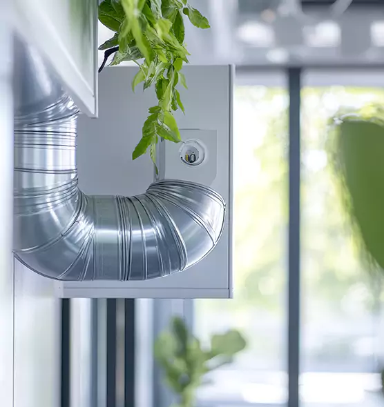 Professional Eco-Safe Dryer Vent Cleaning in Greer, SC