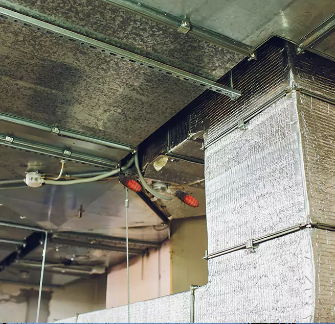 Why Homeowners & Businesses Trust Us in Greer, SC?