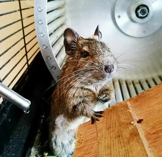 Why Homeowners & Businesses Trust Us Greer, SC