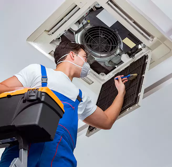 Why Homeowners & Businesses Trust Us in Greer, SC