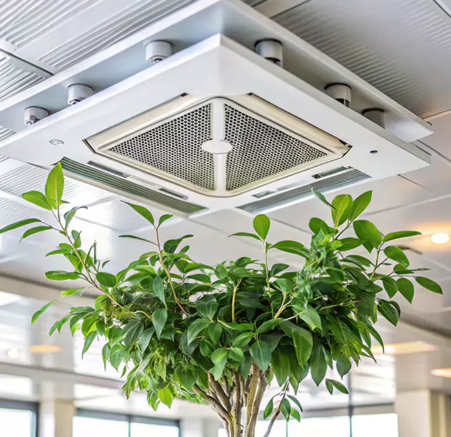 Why Homeowners & Businesses Trust Us in Greer, SC