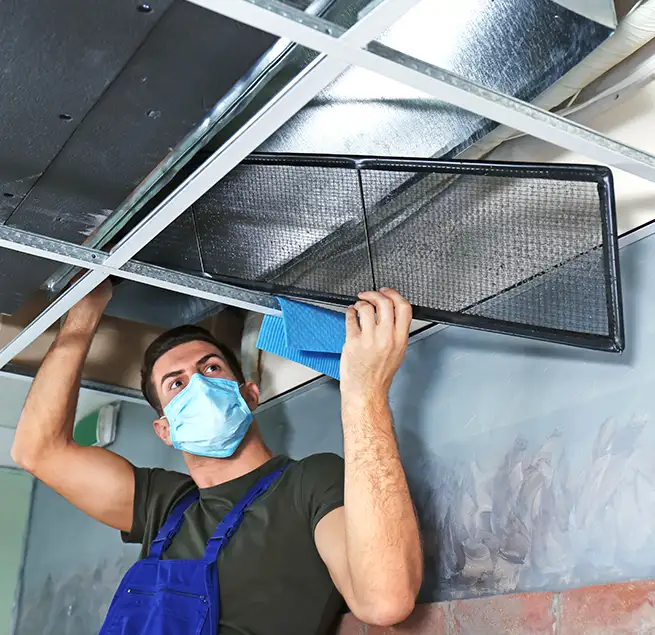 Why Homeowners & Businesses Trust Us in Greer, SC?