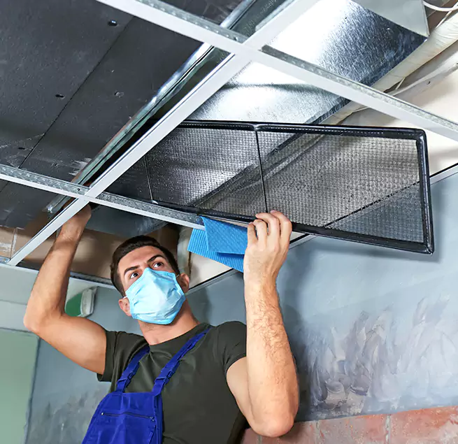  Why Homeowners Businesses Trust Us  in Greer, SC?